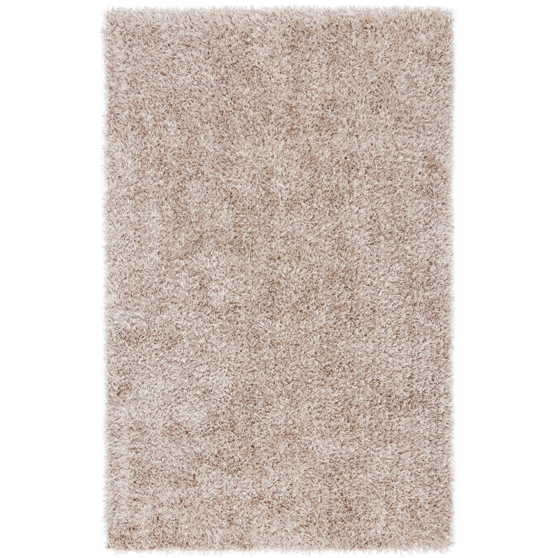 Assar Shag Beige Area Rug , Rectangle 8' x 10'