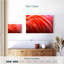Plumes de flamant rose vif Brampt-108974786