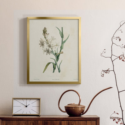 " Traditional Botanical IV "