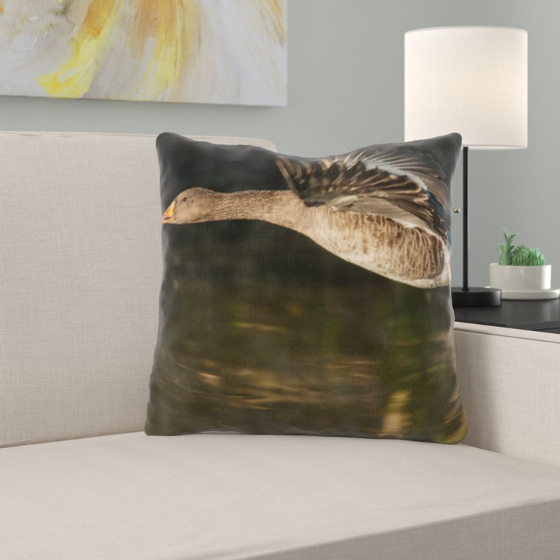 Coussin en oies