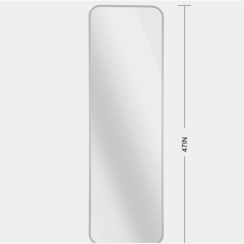 47 x 14IN Door mirror.(W2203P182160), Silver