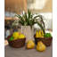 Bay Isle Home Derra Wicker Serving Bowl