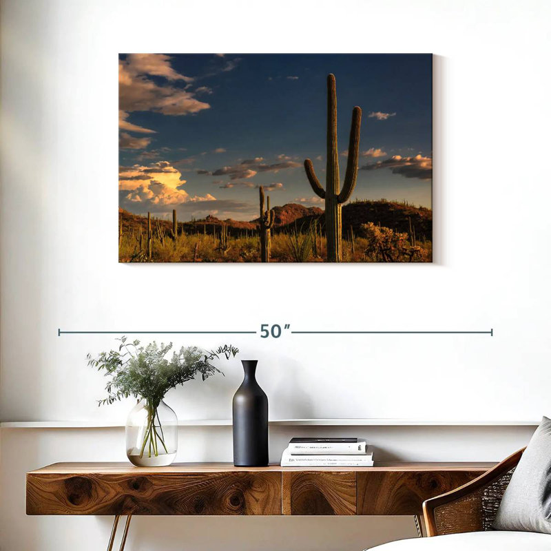 Cactus Harnek Tucson, H 24 po x l 36 po