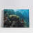 Clownfish Swimming over a Coral Reef-652645441