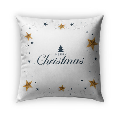  Indoor/Outdoor Throw Pillow