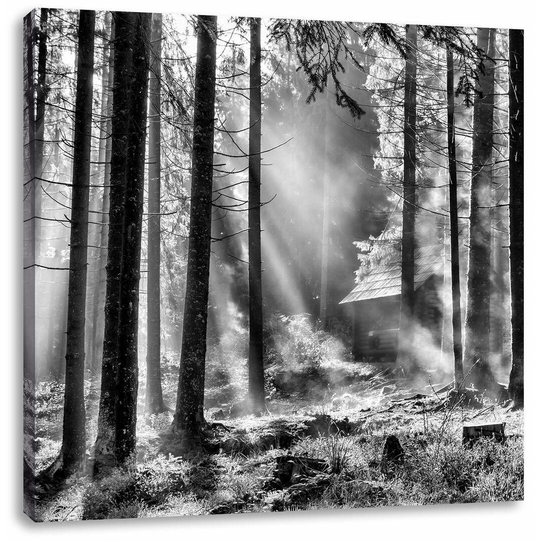 Leinwandbild Sonnenstrahlen im Wald