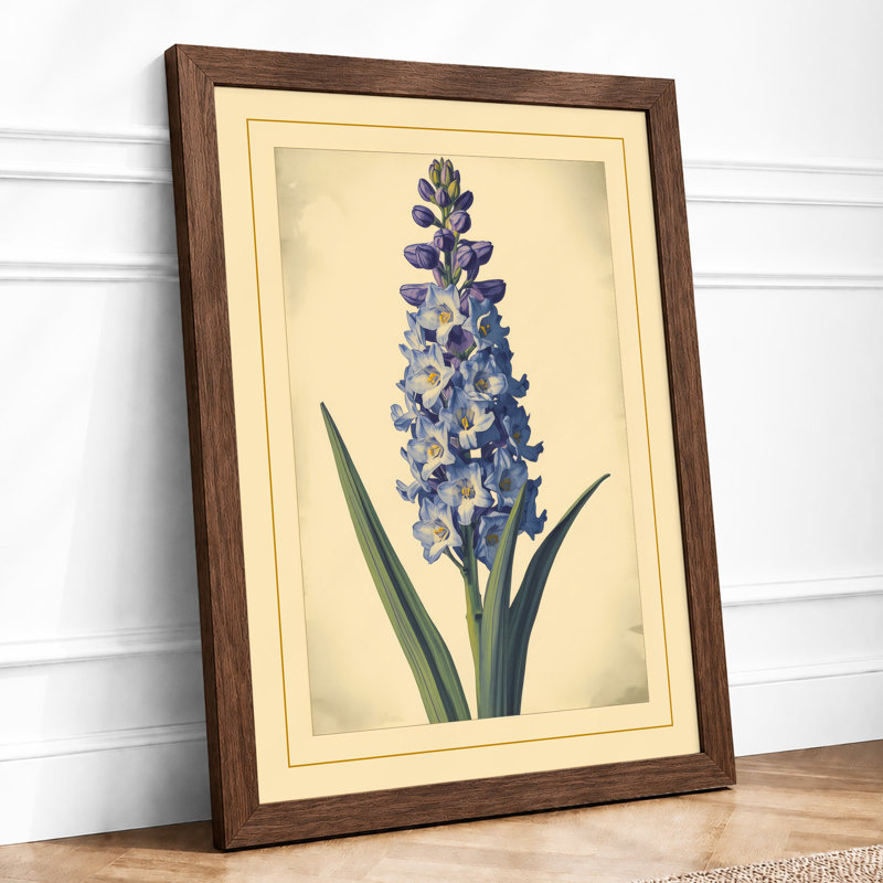 Hyacinth Study Botanical - Framed Print, Walnut, A3 - 42.0 x 29.7 cm