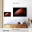 Brampt timide flamant rose-108816308
