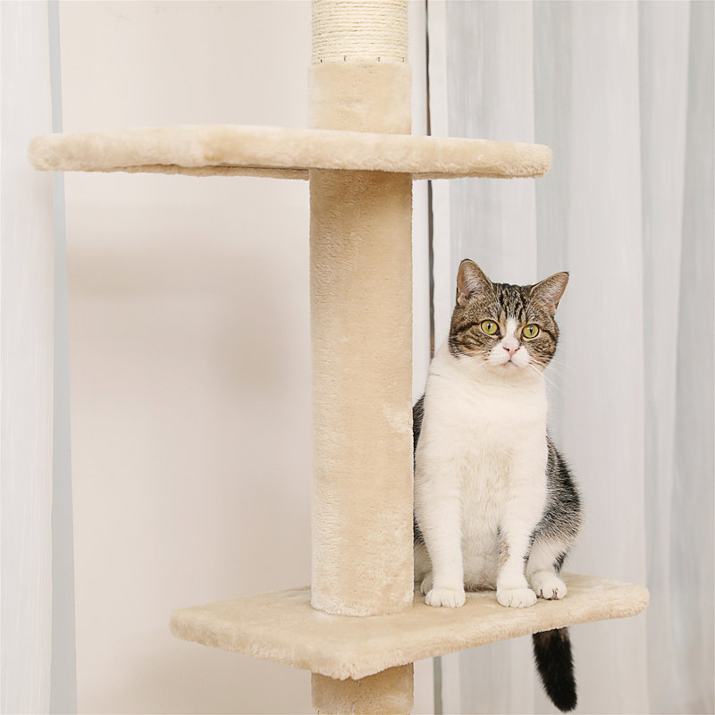 Tour pour chat interactive à 5 niveaux, Beige