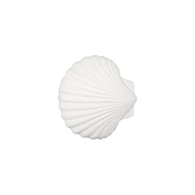 Sea Shell Wall Art, White Stone