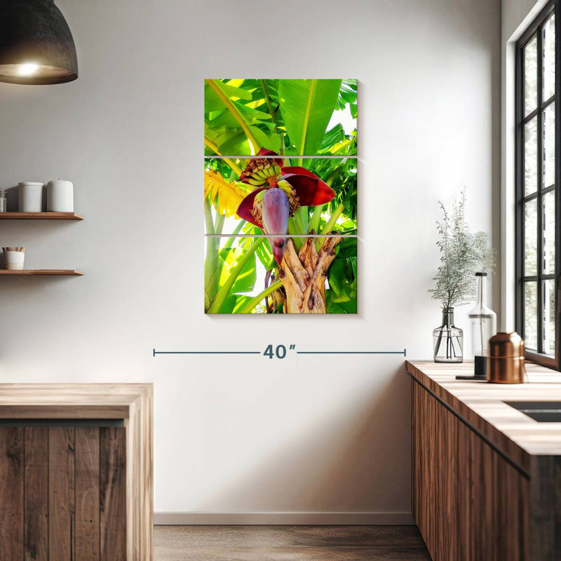 Harnek Banana Palm Heart, H 38 po x l 24 po