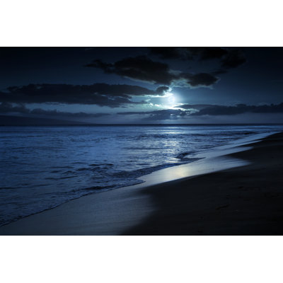 " Quiet Moonlit Beach " by Ricardoreitmeyer
