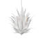 Lustre blanc Agave