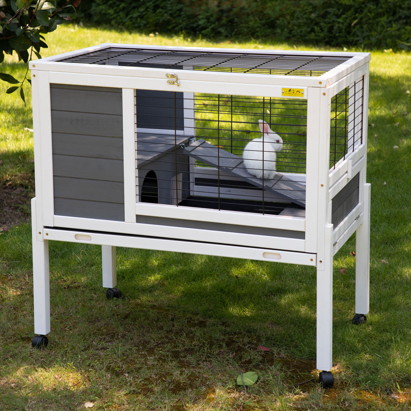 Cage à lapin avec rampe Coribella