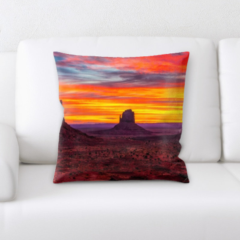 Desert Microsuede Reversible Throw Pillow