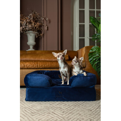 Lit pour chien géant Noah & Paw XXL, lits orthopédiques pour chien, mousse viscoélastique infusée de gel rafraîchissant, housse intérieure, imperméable, lavable à la machine (collection de canapé en velours)
