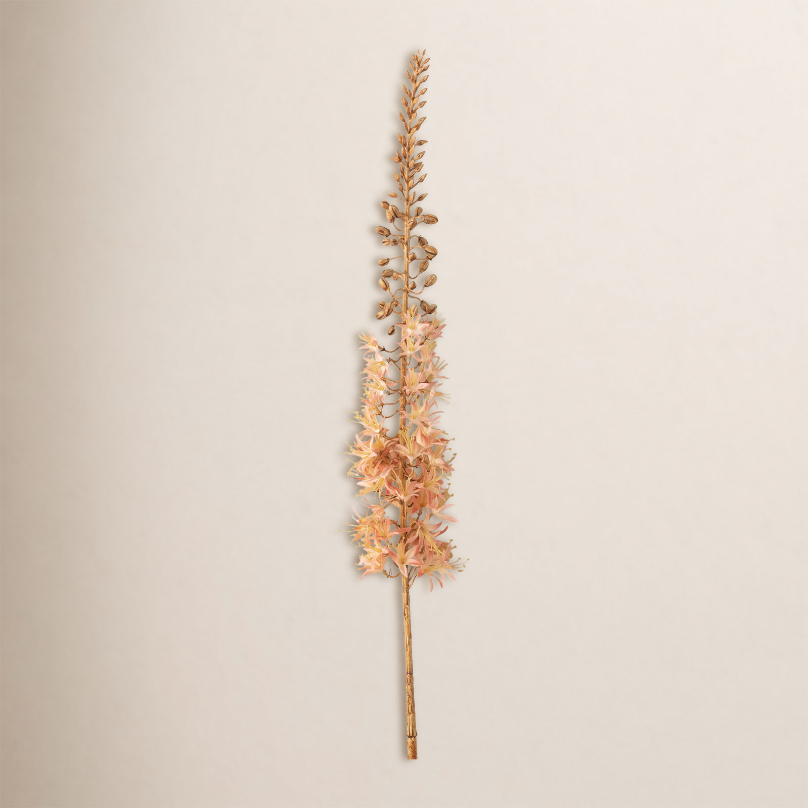 Eremurus Arrangement, Peach