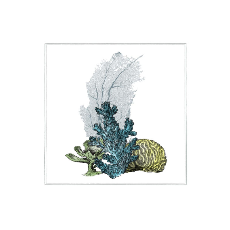 Coral Beauty II par Sofia Fox - impression, Extérieur, H 30 po x l 30 po