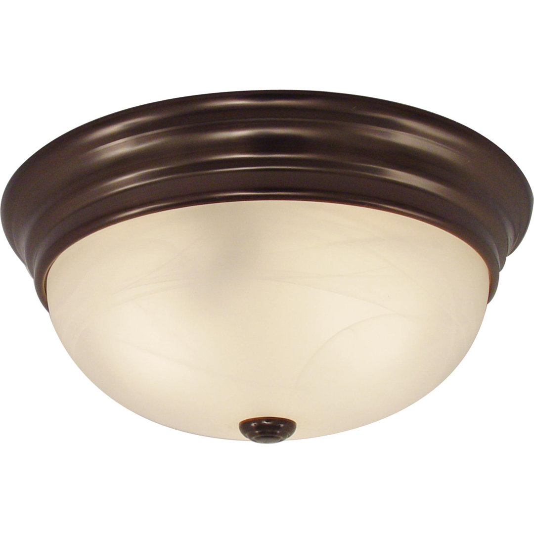 2-Light Ceiling Fixture Flush Mount Volume Lighting 