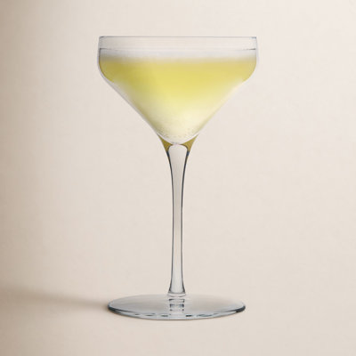 Libbey Signature Greenwich Coupe Cocktail Glasses