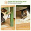 Arbre à chat inférieur pour chats d'intérieur, tour pour chat à plusieurs niveaux de 62 po avec 2 condos spacieux, patin à griffer, 4 poteaux à griffer, 2 perchoirs supérieurs, 2 pompons-922333492