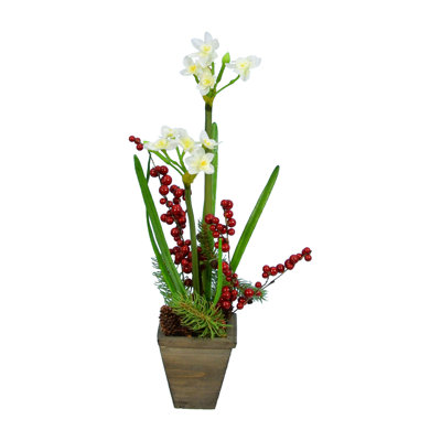 Arrangement floral narcissus floor en pot