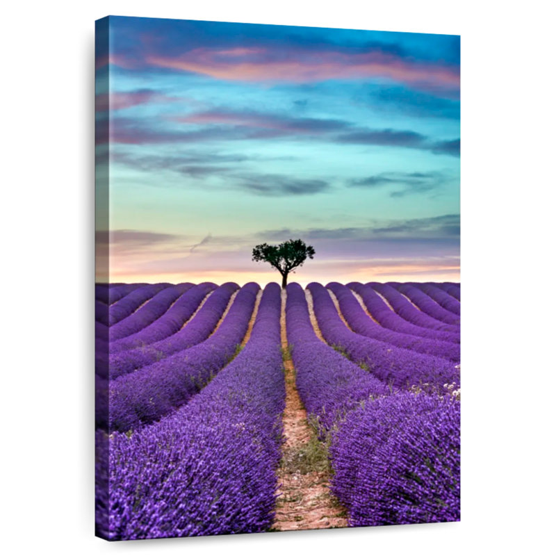Harnek lavande en été, H 48 po x l 32 po