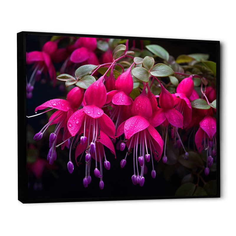 Fuchsia vivace, fleurs II, art mural floral, salon, Cadre flottant noir, H 16 po x l 32 po x P 1 po