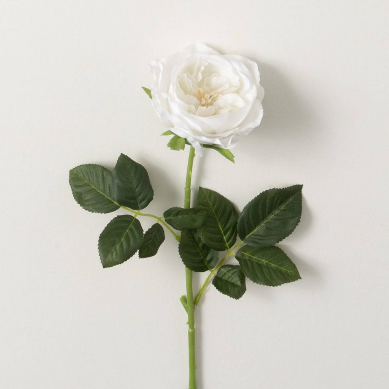Rosier artificiel de jardin H 24 po, Crème, crème