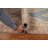 Wool Oriental Indoor Rug