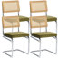 Chaise d'appoint rembourrée Crumley avec dossier en rotin et structure en acier-321937466-302628412