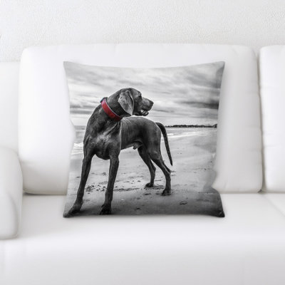 Housse et insert de coussin Weimaraner