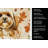 Gold Lhasa Apso Heirloom Fall Kitchen Towel-1218231456