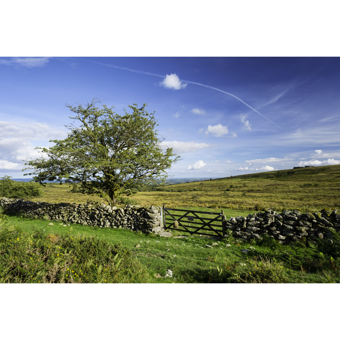 Trockenmauer auf dem Dartmoor von Simonbradfield - Kunstdrucke