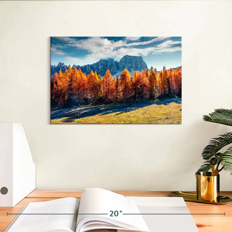 Mélèze d'automne Alvord, H 8 po x l 12 po