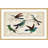 "Hummingbirds" Framed Print-18829404