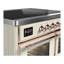 Majestic III Series 40 Inch Induction Range with 6 Induction Elements in Stainless Steel (Brass Trim)-1837201733-1837201738