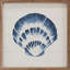 Coquille bleue 1-75032302
