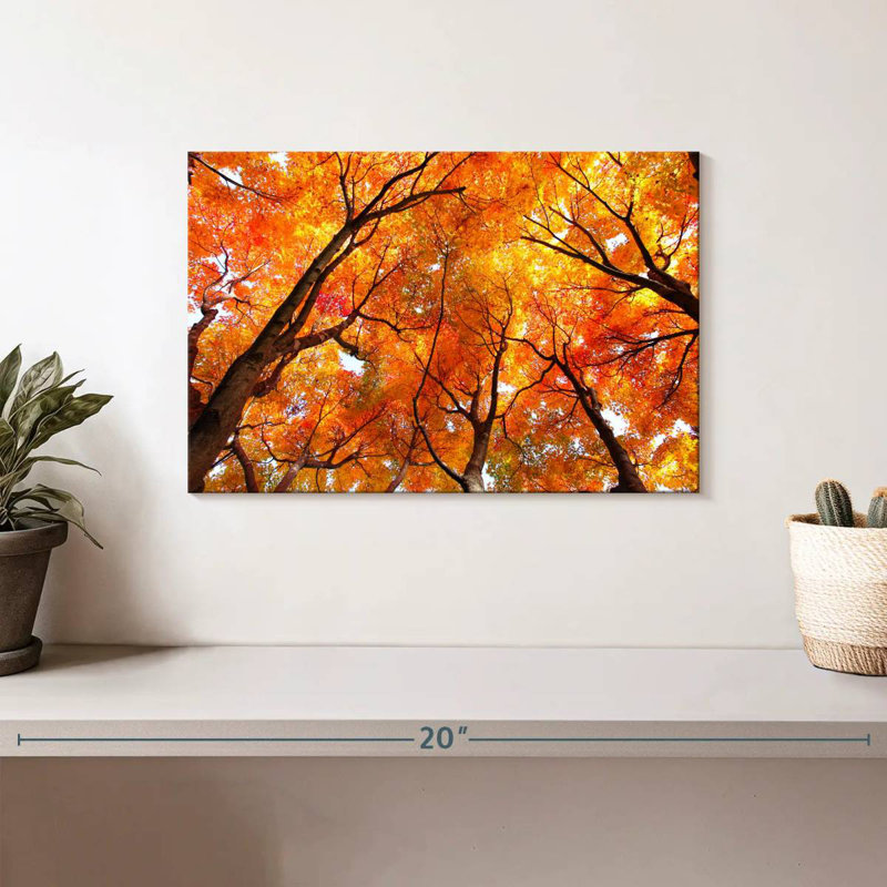 Alvord Maple Tree Autumn Canopy, 8" H x 12" W