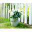 Pot de fleurs sans rebord guirlande Newhaven-33044987