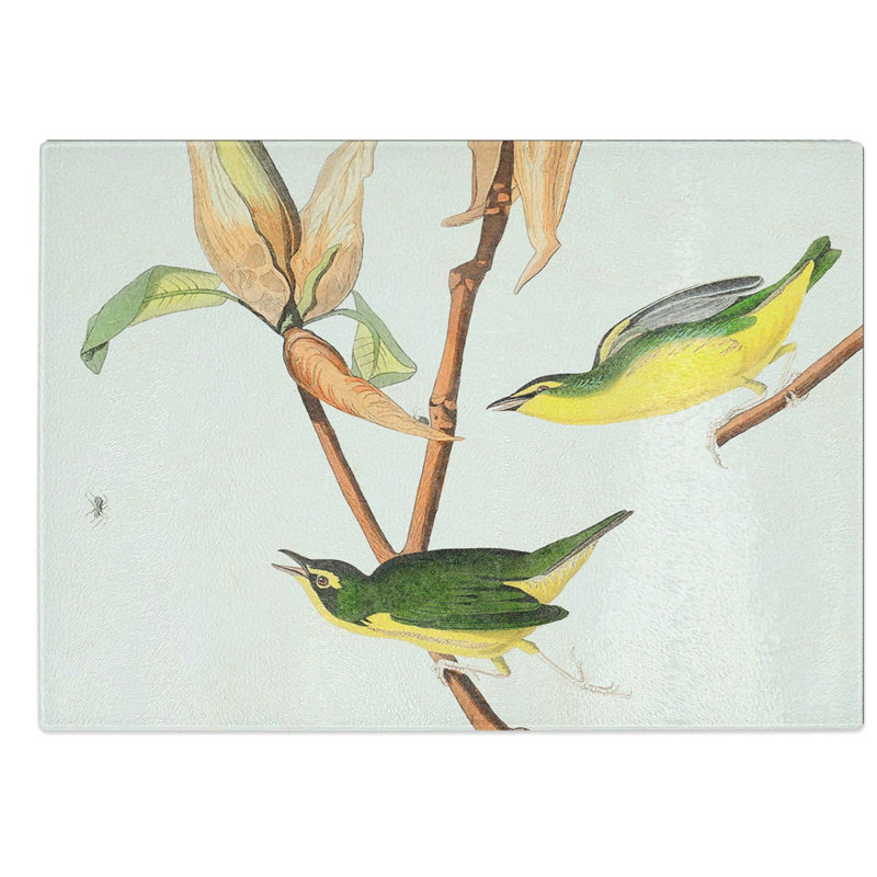Glass Kentucky Warbler Birds by John James Audubon Chopping Board, 39 cm W x 28.5 cm L
