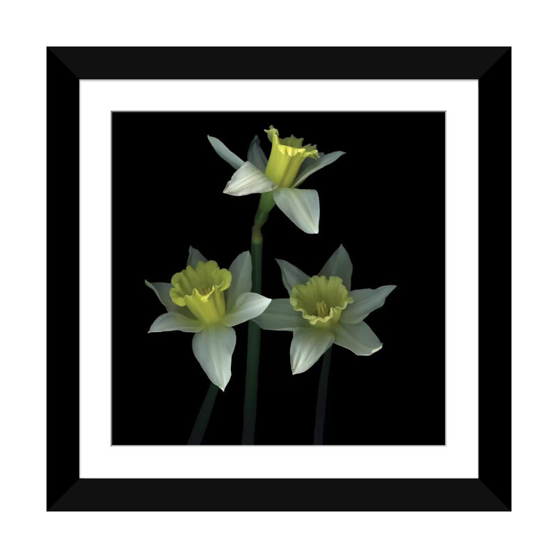 Trio des las trompetas, reproduction de photo sur toile tendue, H 16 po x l 16 po x P 1 po, Papier beaux-arts encadré noir
