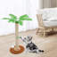 Grattoir à griffer pour chats d'intérieur et chaton Coconut Tree