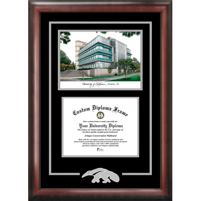 NCAA UC Irvine Anteaters Spirit Graduate Diploma with Campus Images Lithograph Frame