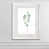 White Framed selected