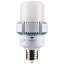 45 Watt White LED Bulb