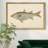 " Donovan Antique Fish IV "-1371544613-1371544612