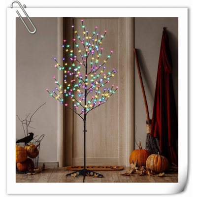 Ezariyah Net Lights