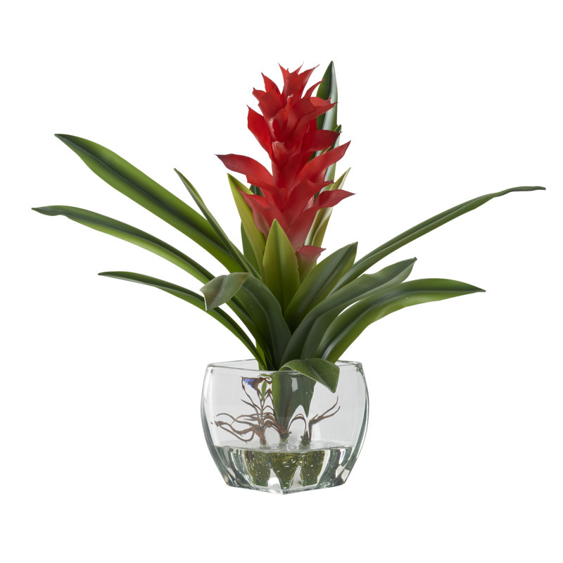 Arrangement in Vase