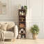 Gerardi 32cm W Standard Bookcase-28126306-70966733